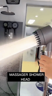 HydroBlast Shower Massager