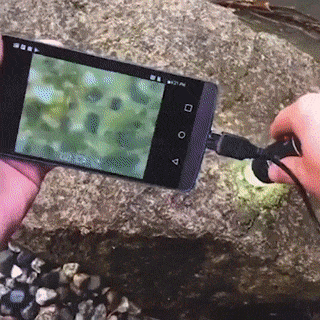 UltraMax Digital Microscope Magnifier