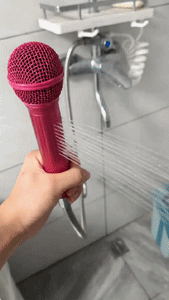 High-Pressure Microphone-Shaped Shower Head