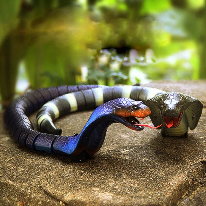 USB Rechargeable RC Snake Toy