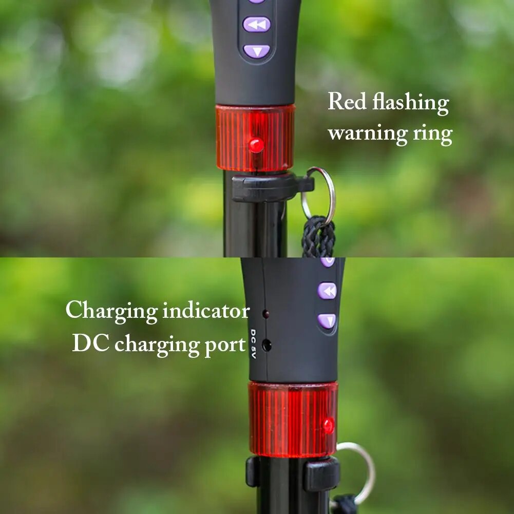Multifunctional Walking Stick