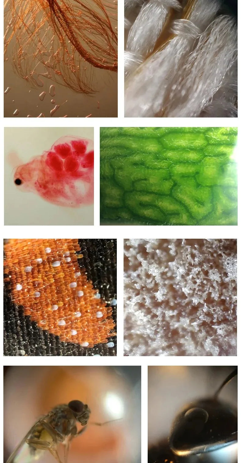 Multi-Functional 400X Microscope iPhone Case