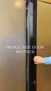 Refrigerator Door Organizer Clip