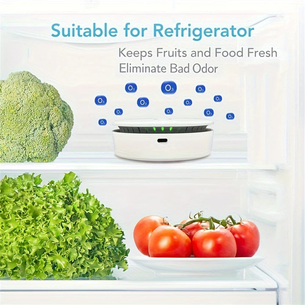 Portable Air Purifier