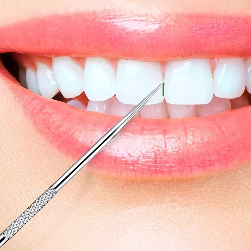 Stainless Steel Reusable Toothpick Set