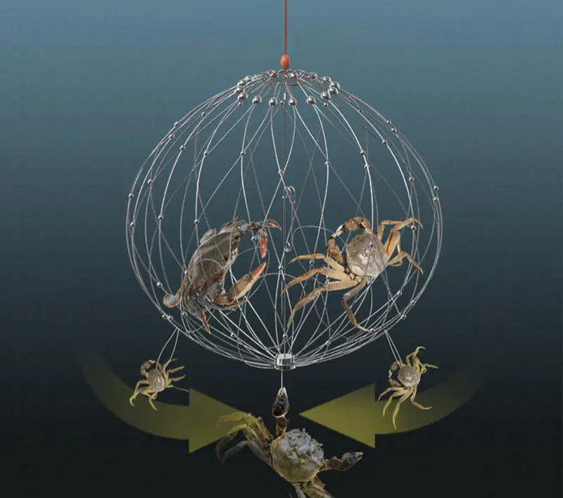 AutoTrap Fishing Net Cage