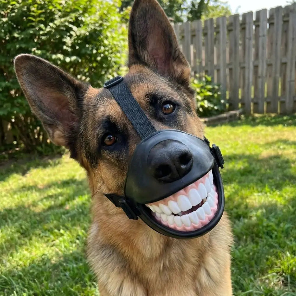 Funny Grinning Dog Muzzle