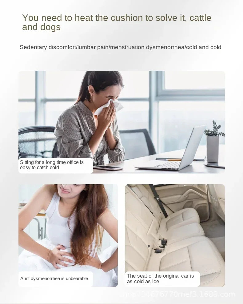 Electric  Cushion Heating Pad