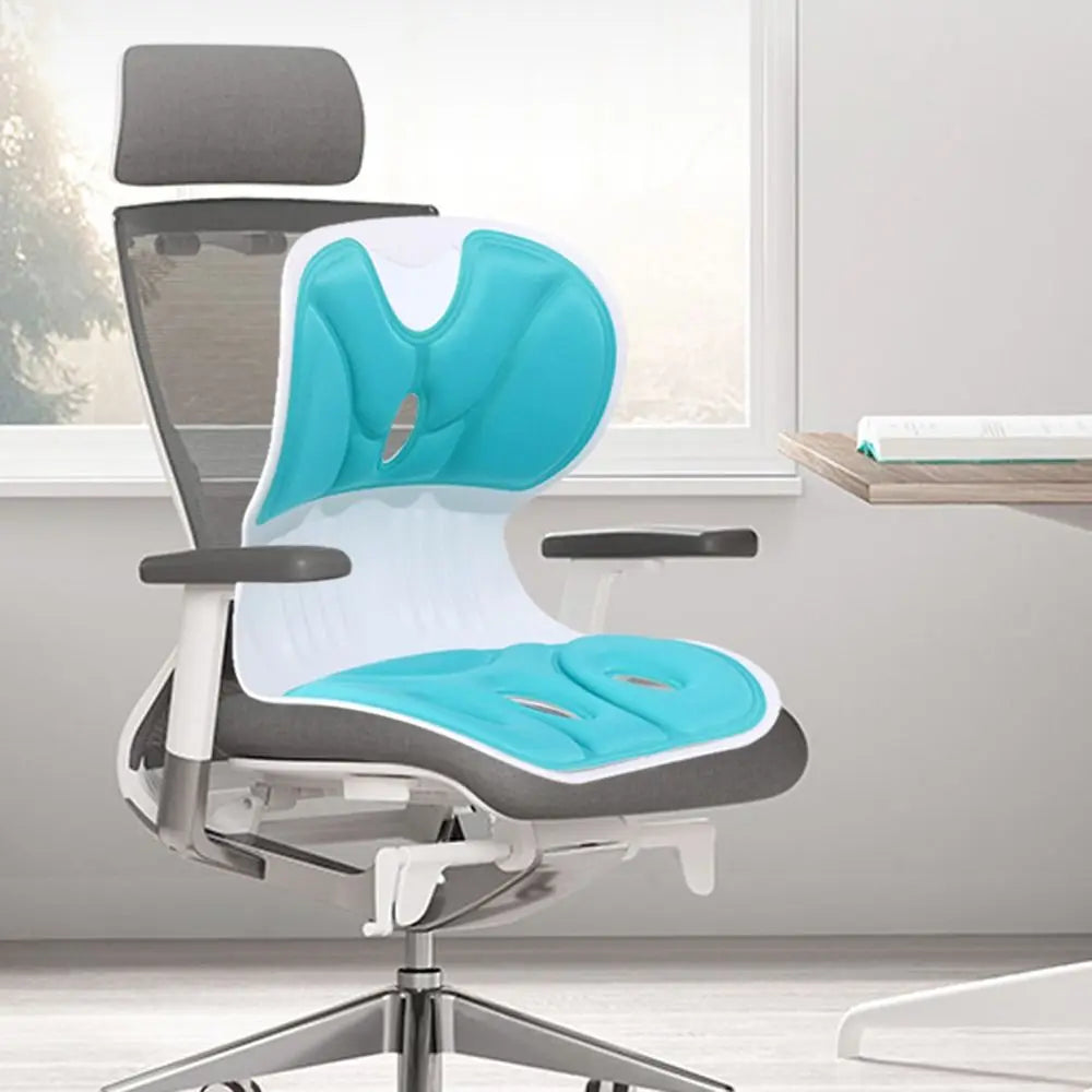 Lumbar Support OrthoRelax Cushion