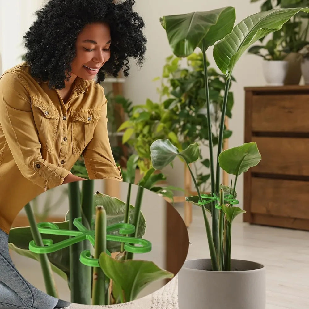 Plant Stem Support Frame