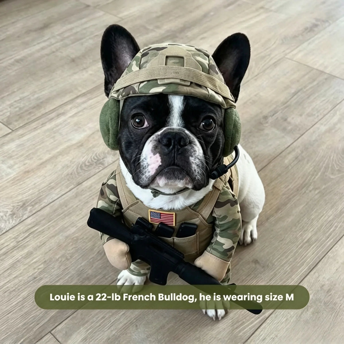 Pet Soldier Costume Set