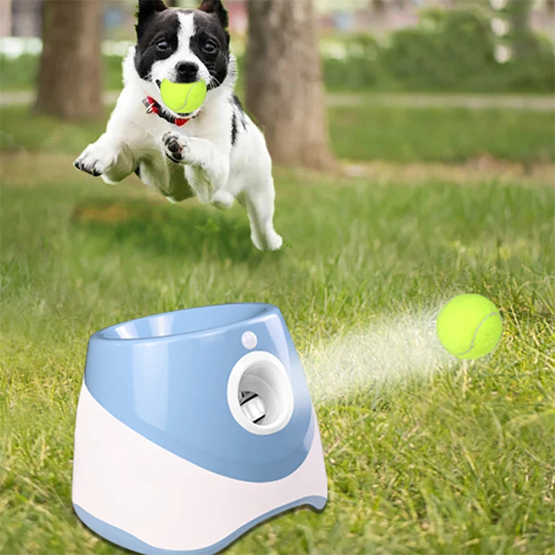 Fun Interactive Automatic Ball launcher Machine
