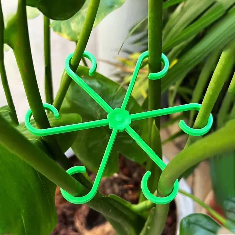 Plant Stem Support Frame