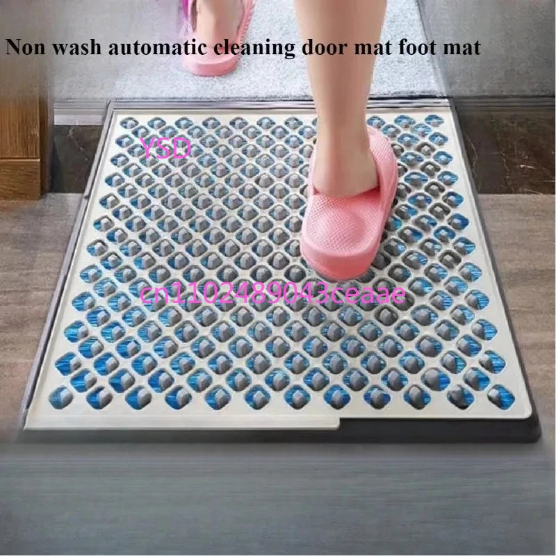 Wet and Dry 2 in 1 House Mat