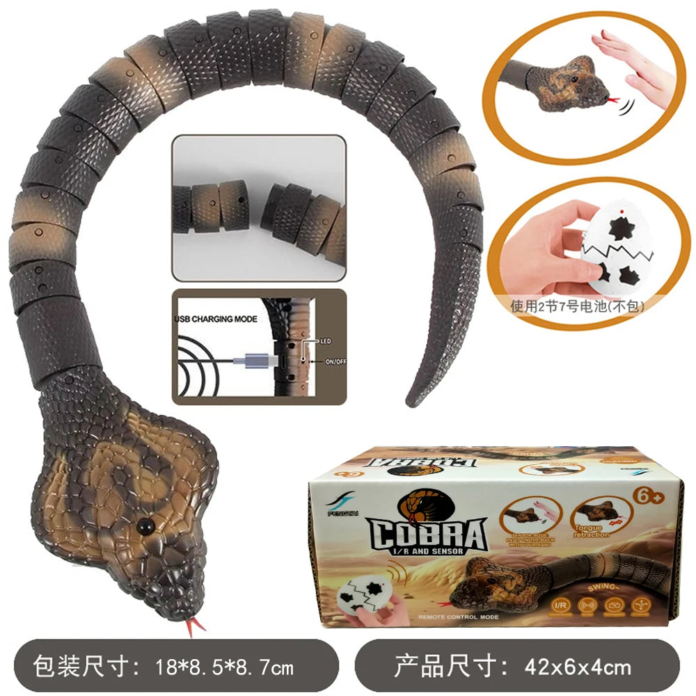 USB Rechargeable RC Snake Toy