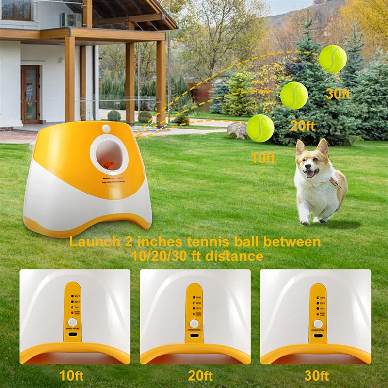 Fun Interactive Automatic Ball launcher Machine