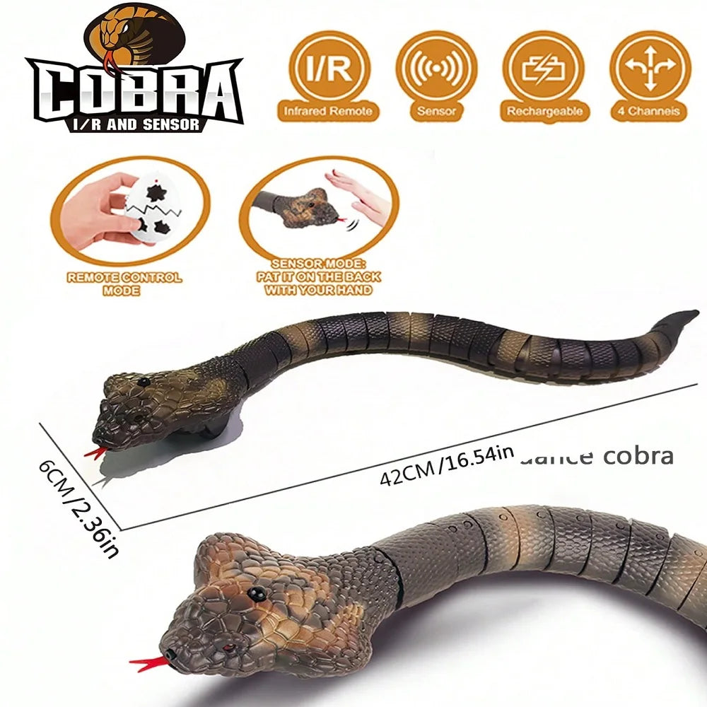 USB Rechargeable RC Snake Toy
