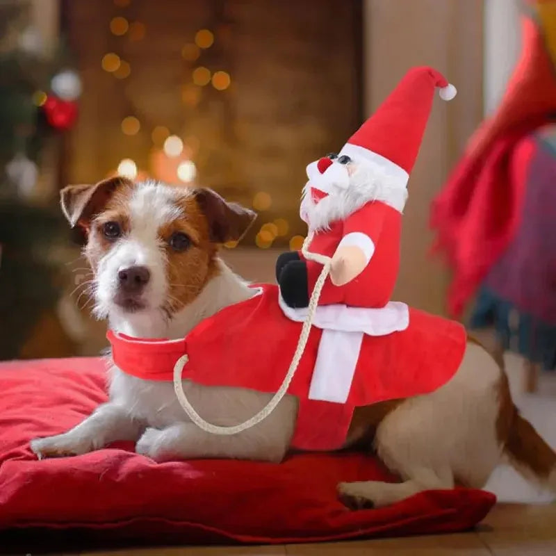 Santa Paws Reindeer Outfit