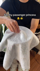 Kids Interactive Racing Steering Wheel Toy
