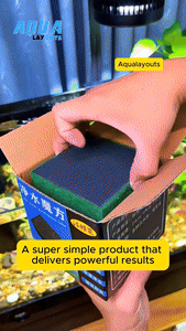 Fish Tank Cube Mesh Filter