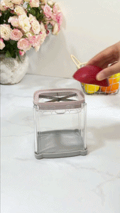 4-in-1 Multifunctional Vegetable Press Chopper
