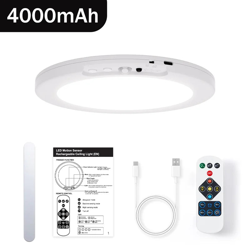 Motion Sensor Ceiling Light With Remote