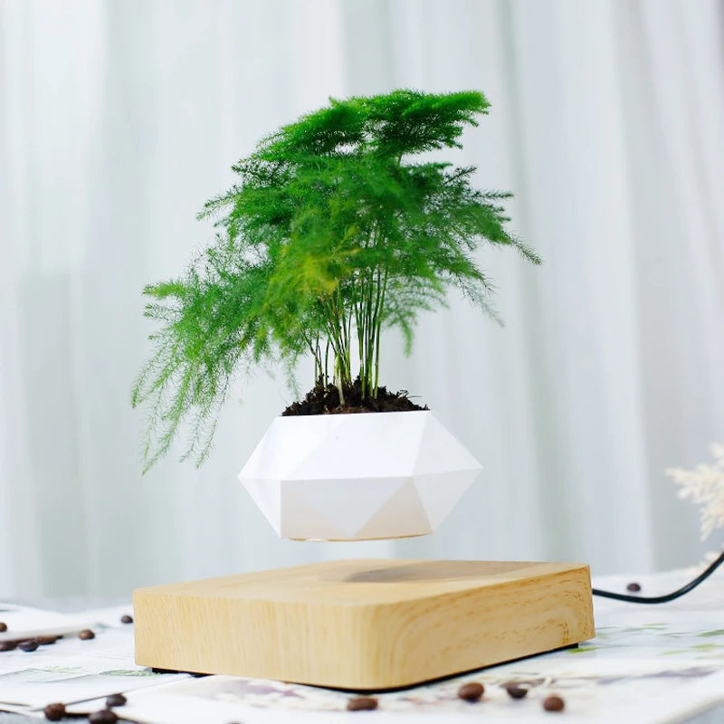Magnetic Levitation Floating Pot