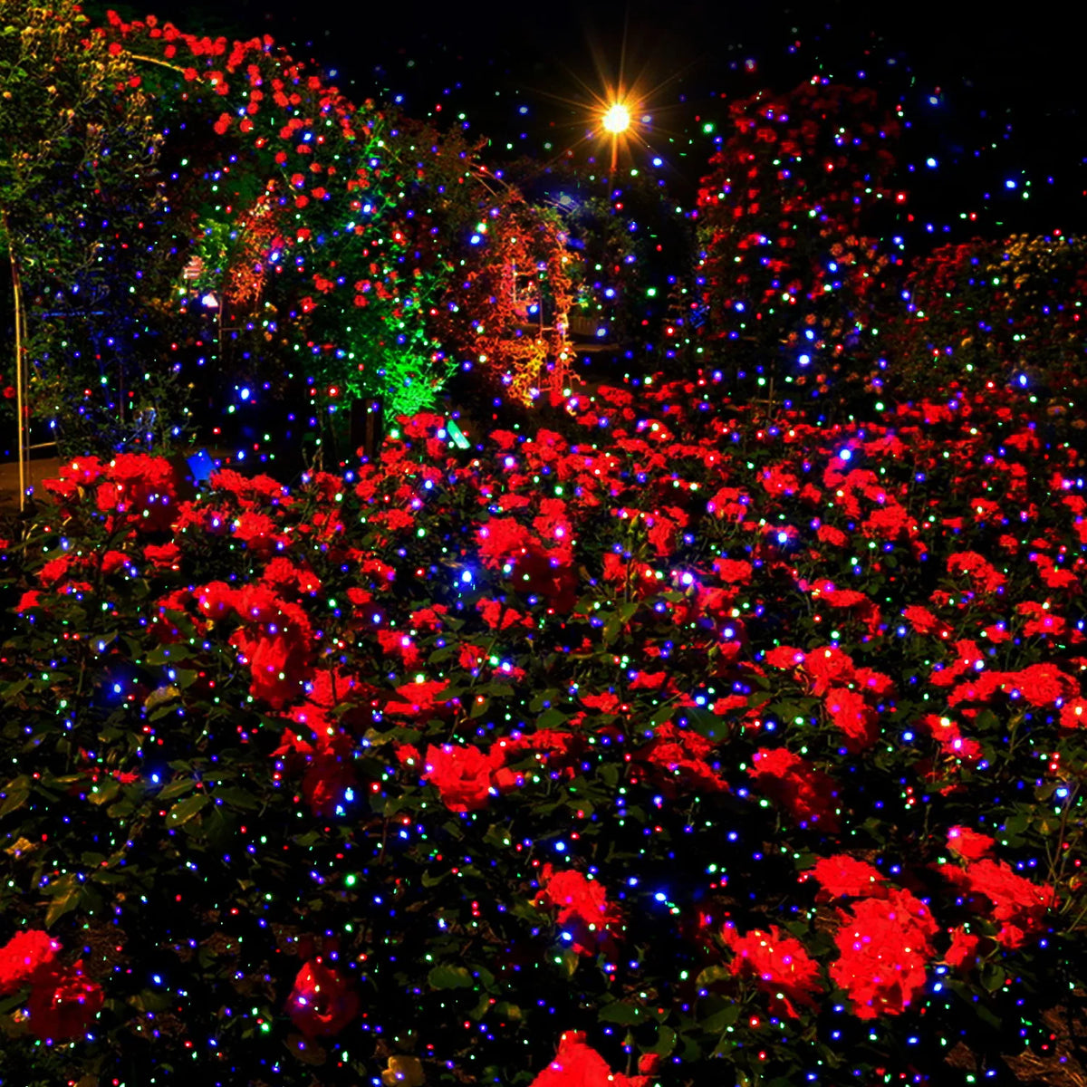 Colorful Firefly LED Projector Lamp