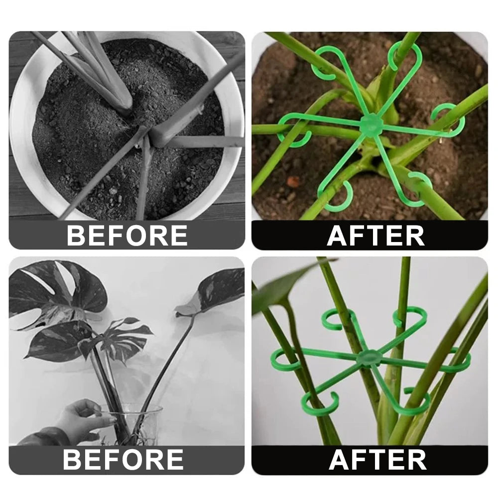 Plant Stem Support Frame