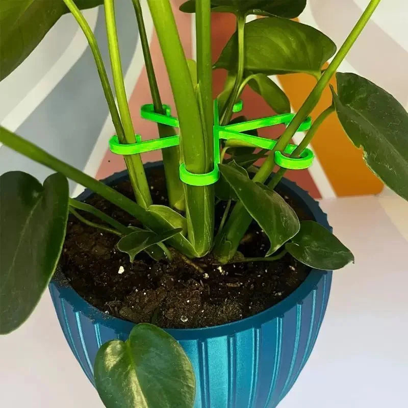 Plant Stem Support Frame