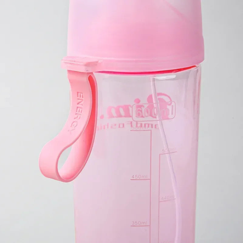 2 in 1 Portable Spray Water Bottle