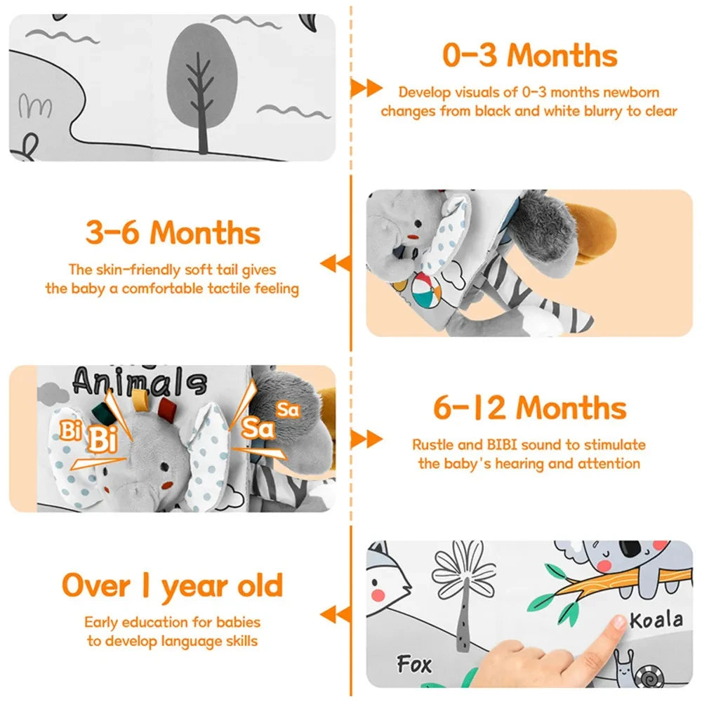 Baby Sensory Educational Book