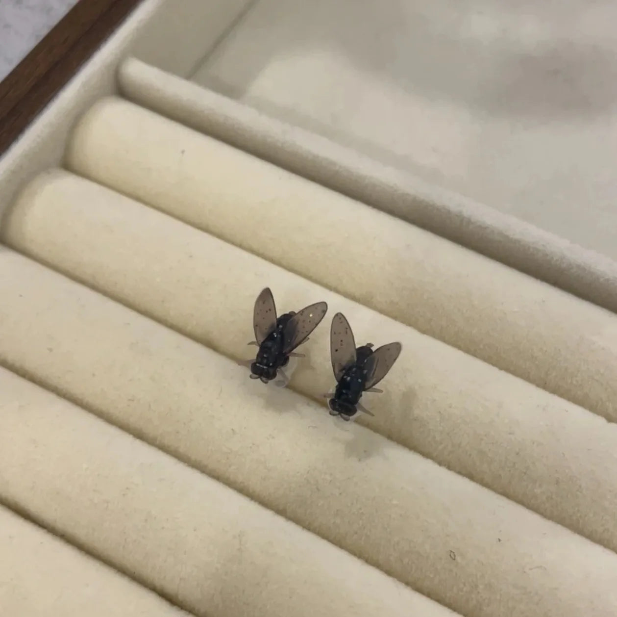 Funny Black Fly Stud Earrings