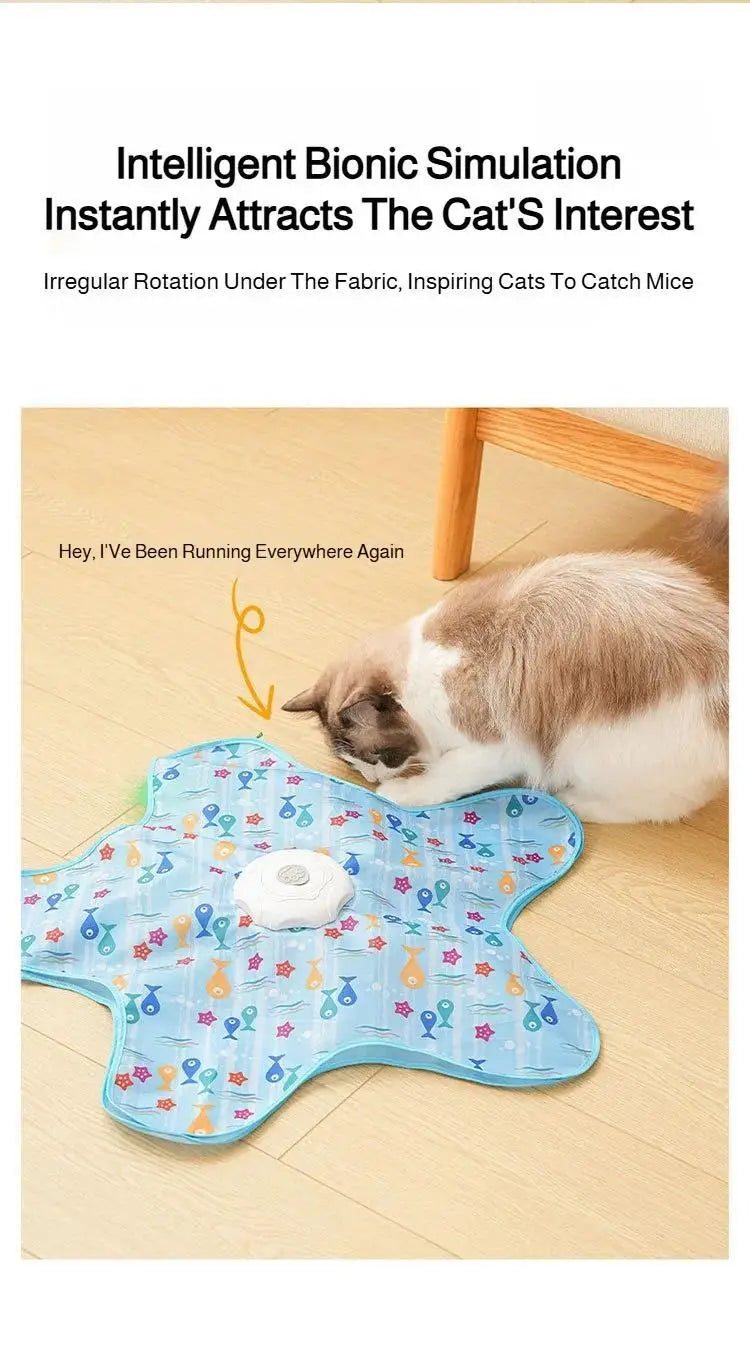 Cat Interactive Hide and Seek Toy