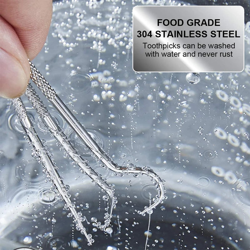 Stainless Steel Reusable Toothpick Set