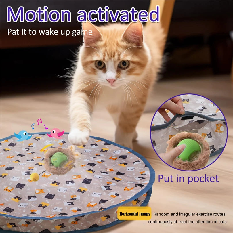 Interactive Cat Play Mat