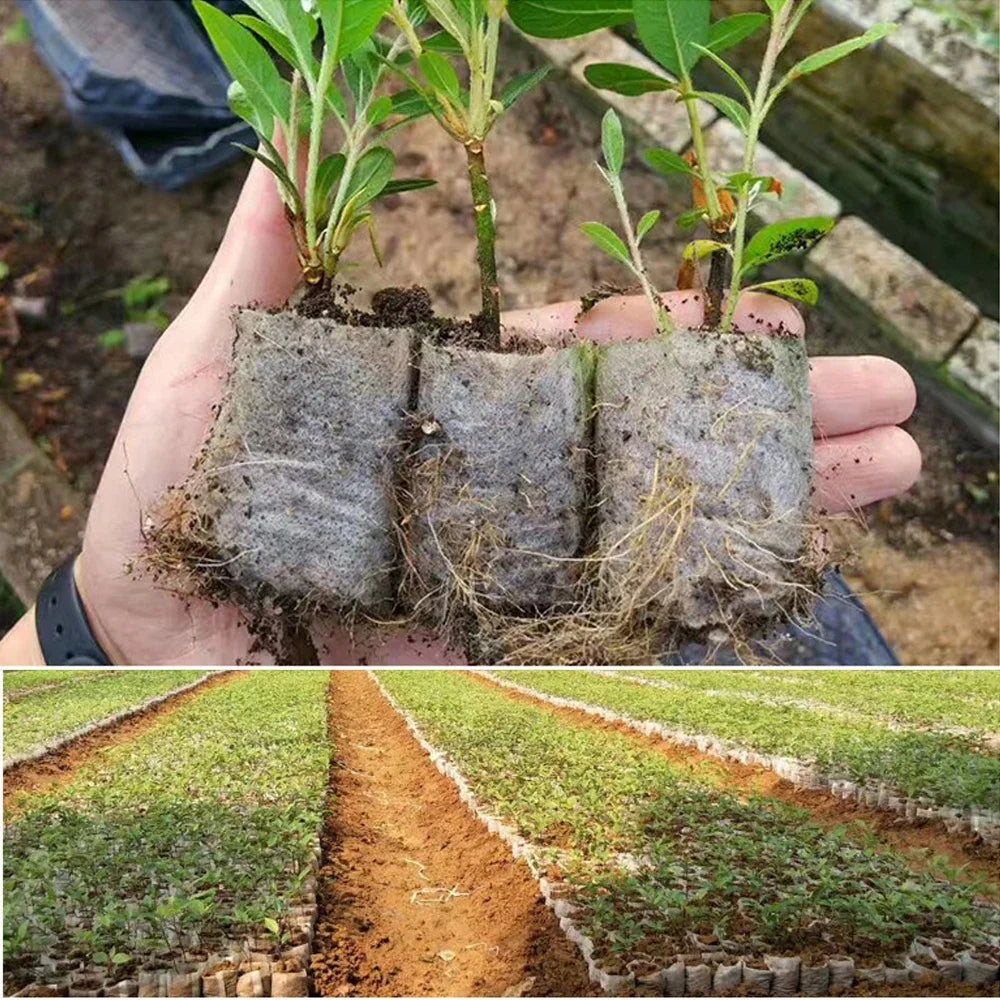 Biodegradable Plant Grow Bags