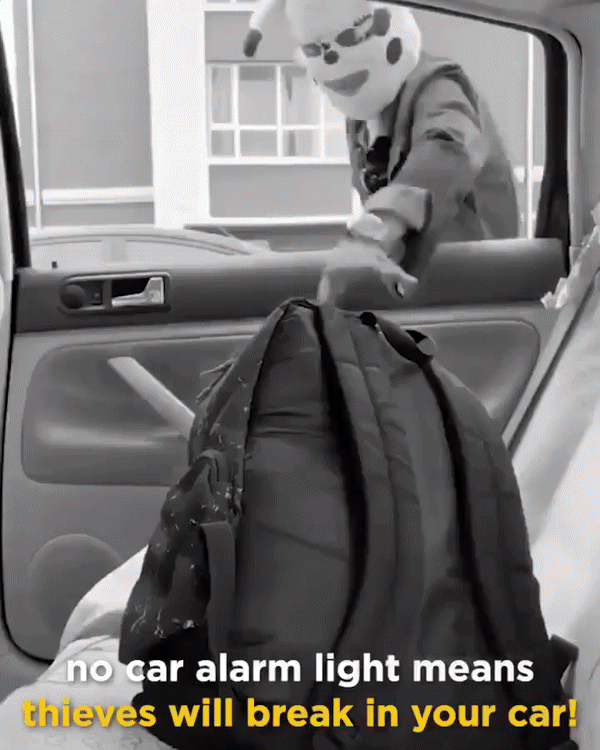 Solar Simulation Anti-theft Warning Light