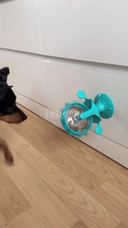 Interactive Pet Food Dispenser Toy