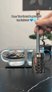 Stainless Steel Reusable Press Tea Infuser