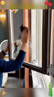 Multipurpose Stain Cleaner