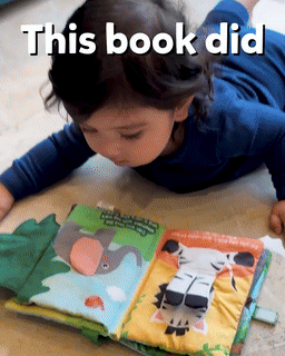 Baby Sensory Educational Book