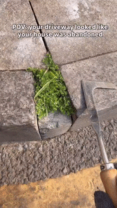 Heavy-Duty Carbon Steel Hand Weeding Tool