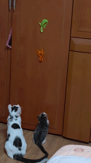 Funny Stretchy Crocodile Lizard Toy