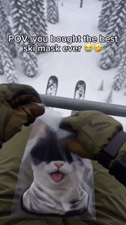 Funny Animal Hooded Face Mask