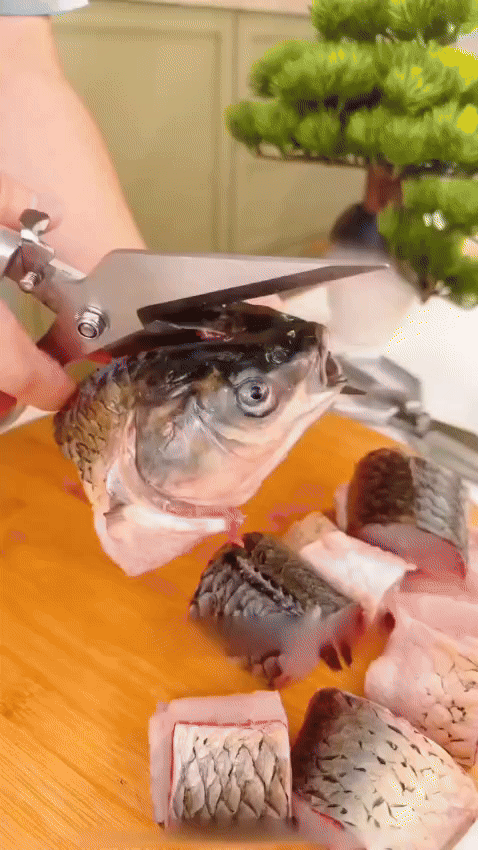 Heavy Duty Meat Cutting Scissors