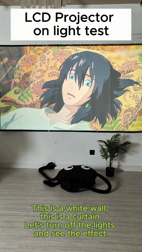 Portable Projector Screen