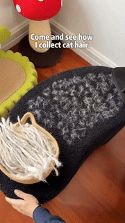 GroomEase Pet Hair Remover Glove