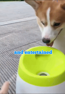 Fun Interactive Automatic Ball launcher Machine