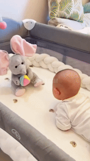 Hide and Seek Elephant Plush Toy